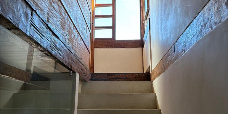 casa-gisele-pereque-10
