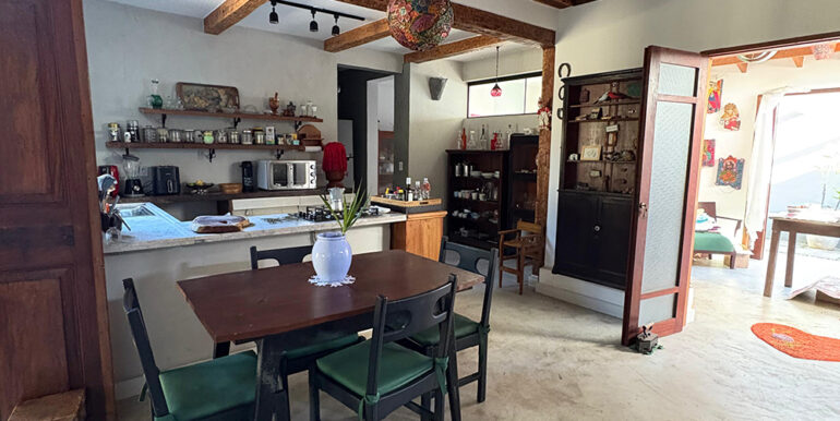 casa-gisele-pereque-71
