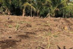 Terreno Costeira Sul da Ilha