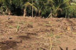 Terreno Costeira Sul da Ilha