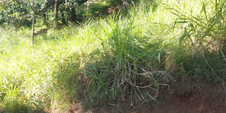 Terreno Porto Canoas SUL